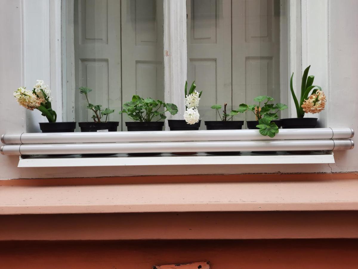 Downtown Prague Minimalistic Room In Flatshare エクステリア 写真